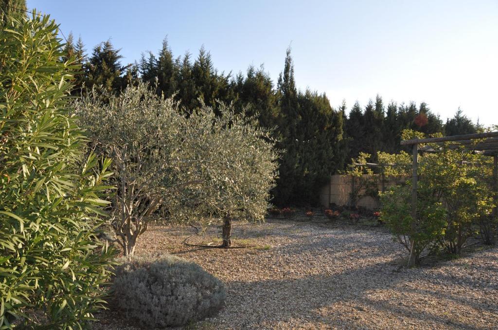 La Maison De Line Saint-Rémy-de-Provence Exterior foto