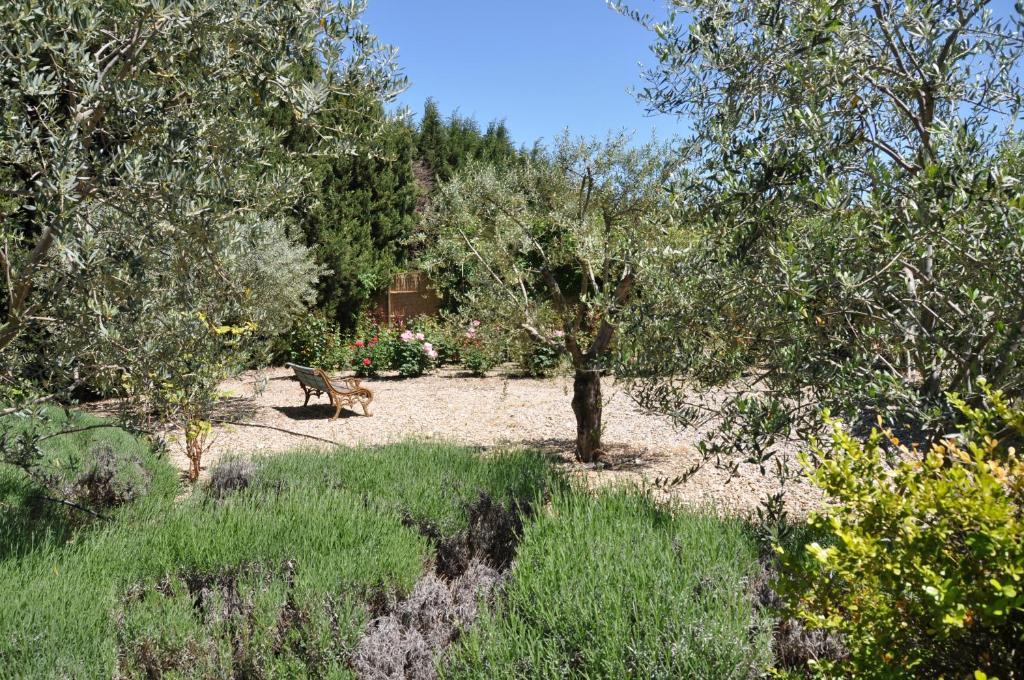 La Maison De Line Saint-Rémy-de-Provence Exterior foto